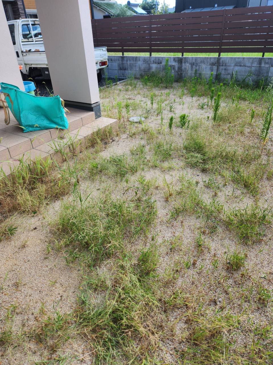 残暑きびしいですね